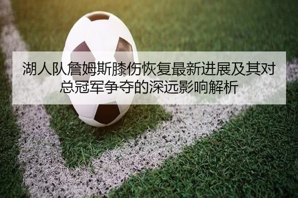湖人队詹姆斯膝伤恢复最新进展及其对总冠军争夺的深远影响解析 | KAIYUN